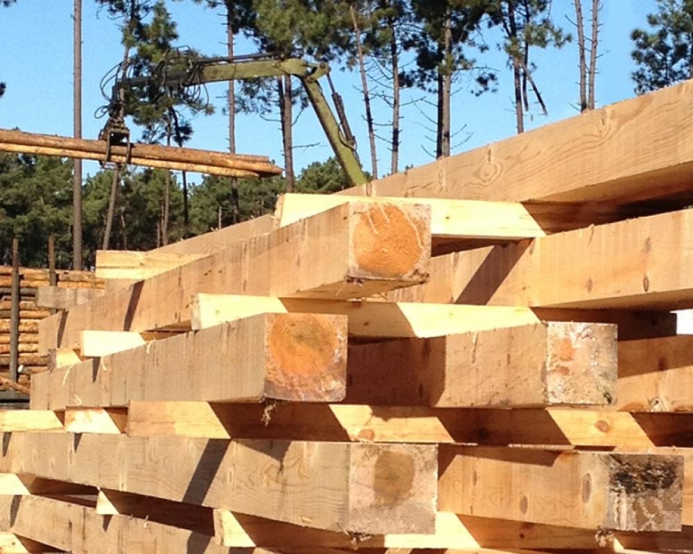 Barrotes de madeira maciça