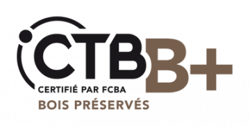 Certificação CTB+