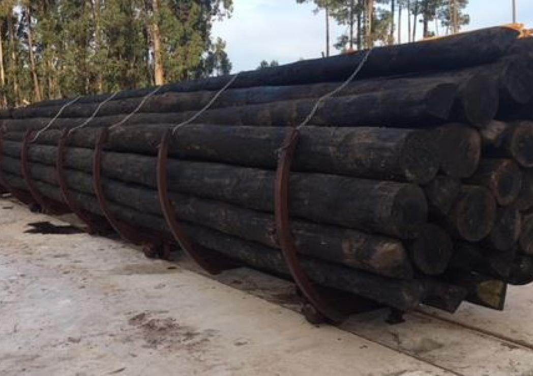 Tratamento Postes 23_1_2018